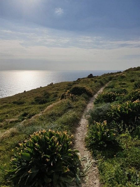 Hiking / Trekking Tours