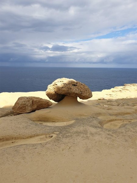 Hiking / Trekking Tours