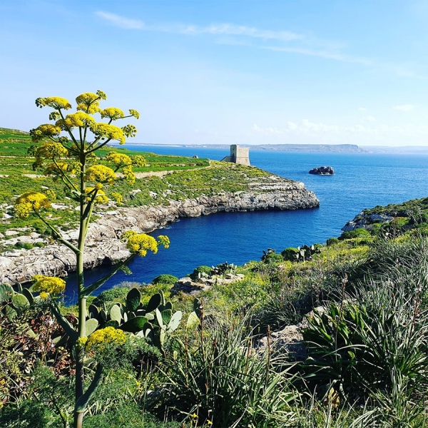 Hiking / Trekking Tours