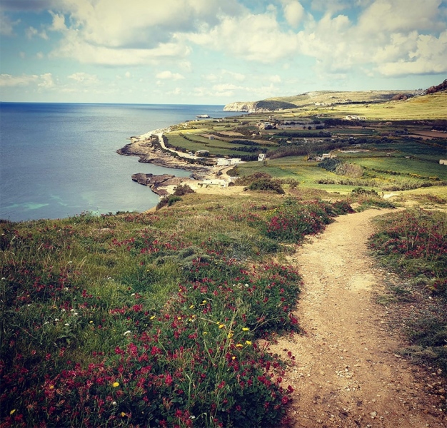 Hiking / Trekking Tours