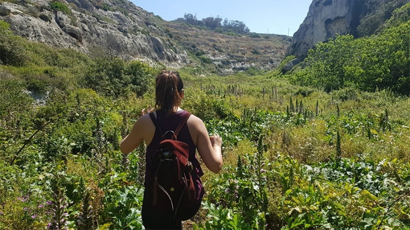 Hiking / Trekking Tours