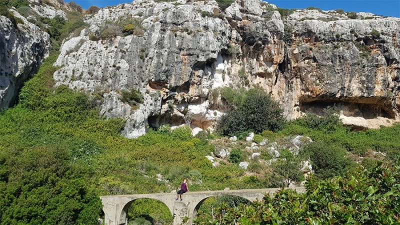 Hiking / Trekking Tours