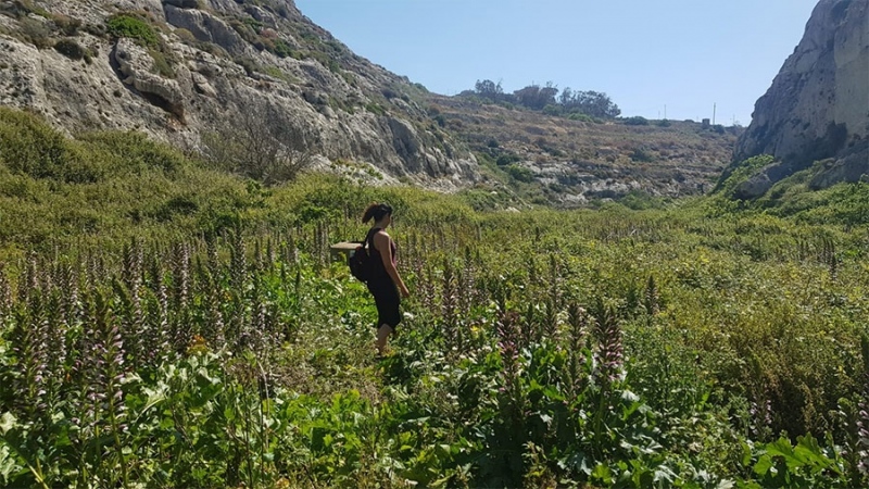 hiking_35