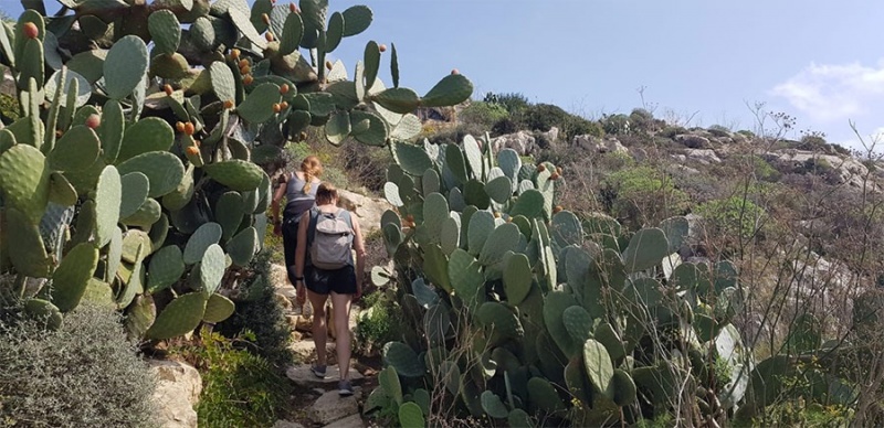 hiking_37