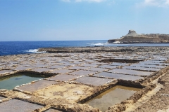 Salt Pans to Ta’ Pinu Tour